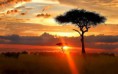 /album/fotogaleria-crowdfunding-luna-de-miel/tanzania-6-jpeg/